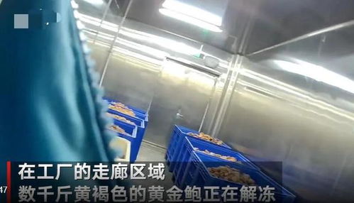 觸目驚心！大連海產品加工廠曝光2大食品黑科技，消費者需警惕識別